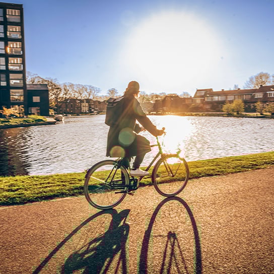 premio individuale busta paga