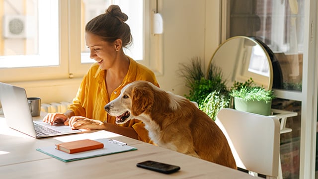 people-home-office-working-with-dog-16-9